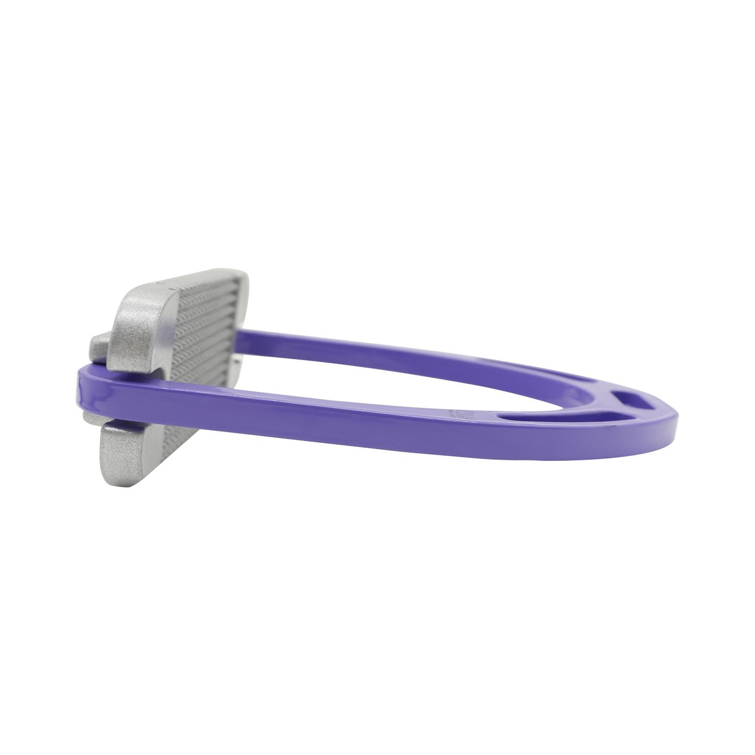Purple-Silver